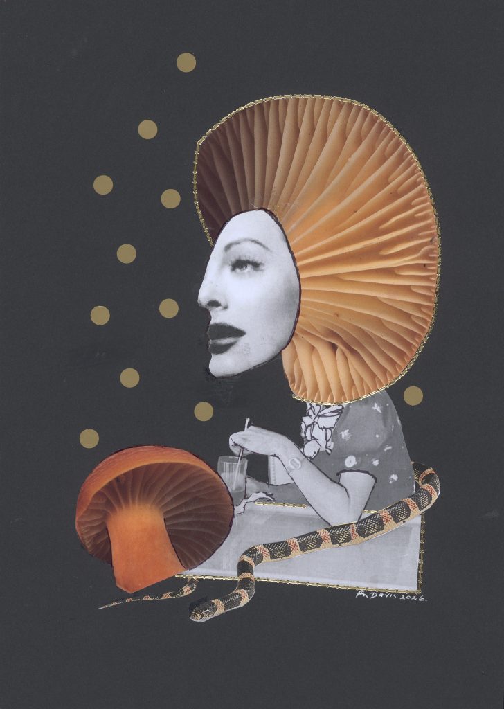Mushroom Dreaming