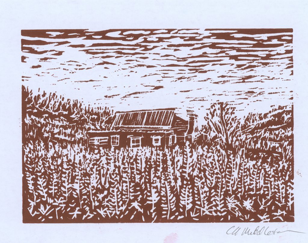 Among the Golden Field